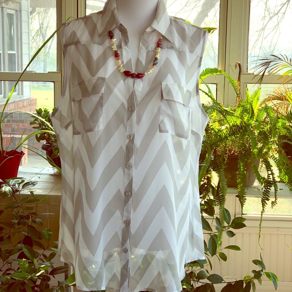 Sheer Button Up Blouse